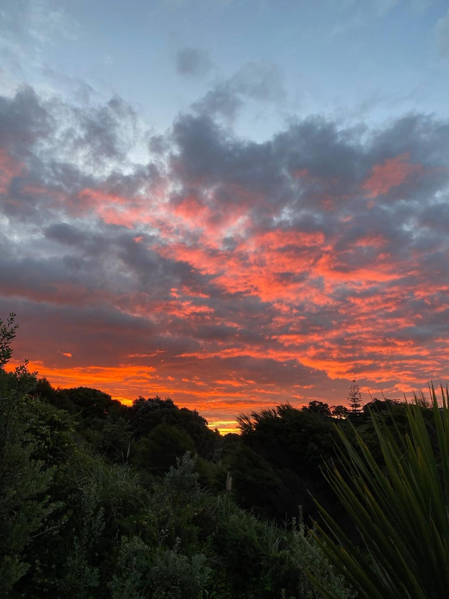Kereru Cabin - Spectacular Seaviews, Rustic, Glamping Eco Adventure Palm Beach Extérieur photo
