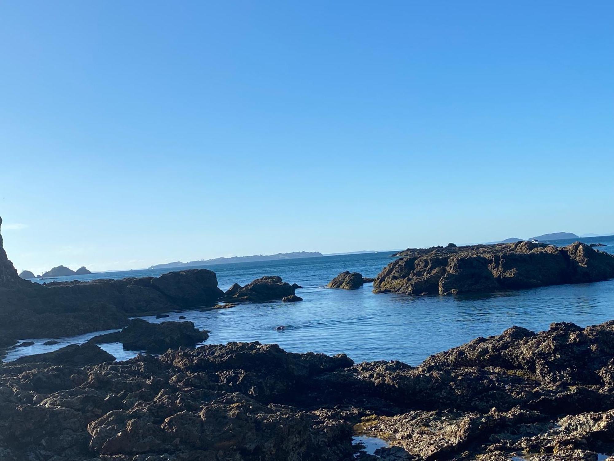 Kereru Cabin - Spectacular Seaviews, Rustic, Glamping Eco Adventure Palm Beach Extérieur photo