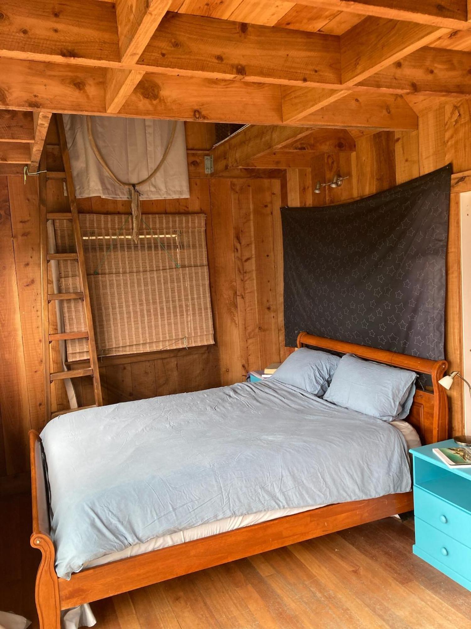 Kereru Cabin - Spectacular Seaviews, Rustic, Glamping Eco Adventure Palm Beach Extérieur photo